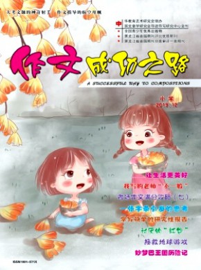 作文成功之路·小学期刊